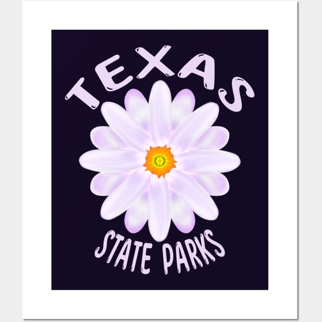 Texas State Parks Wall Art by MoMido